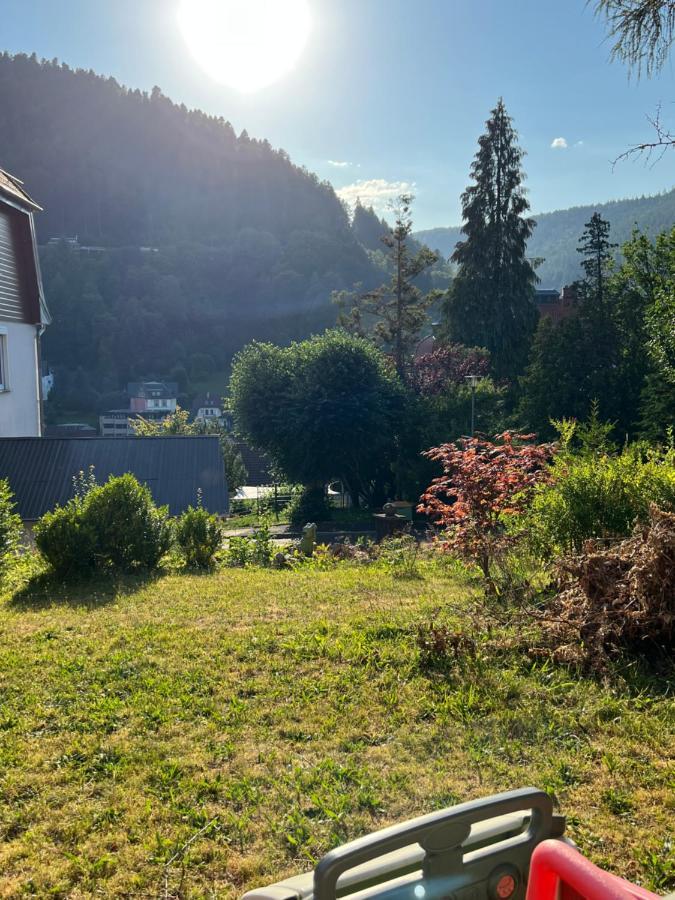 شقة Viva La Wildbad باد ويلباد المظهر الخارجي الصورة