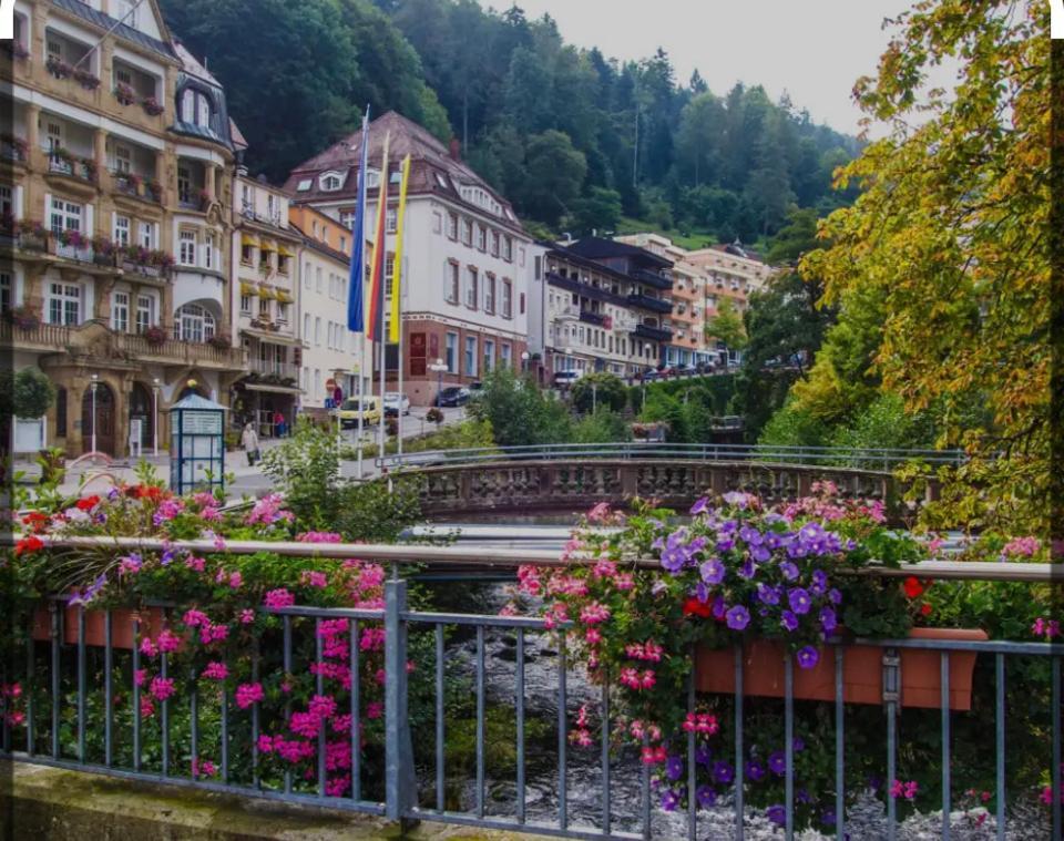 شقة Viva La Wildbad باد ويلباد المظهر الخارجي الصورة