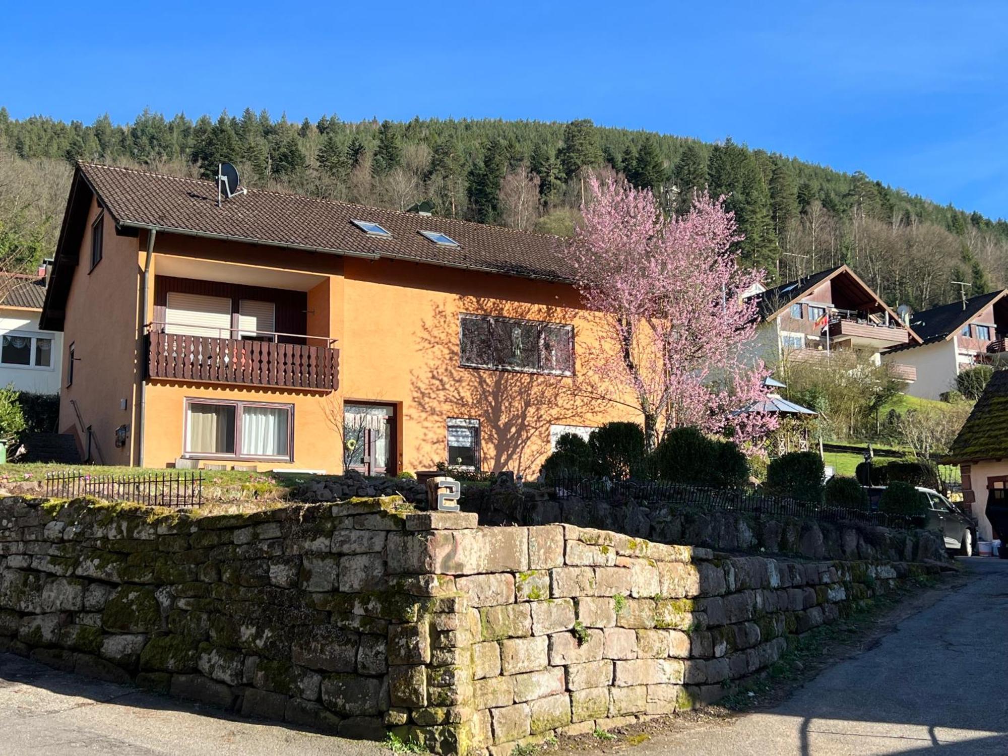 شقة Viva La Wildbad باد ويلباد المظهر الخارجي الصورة