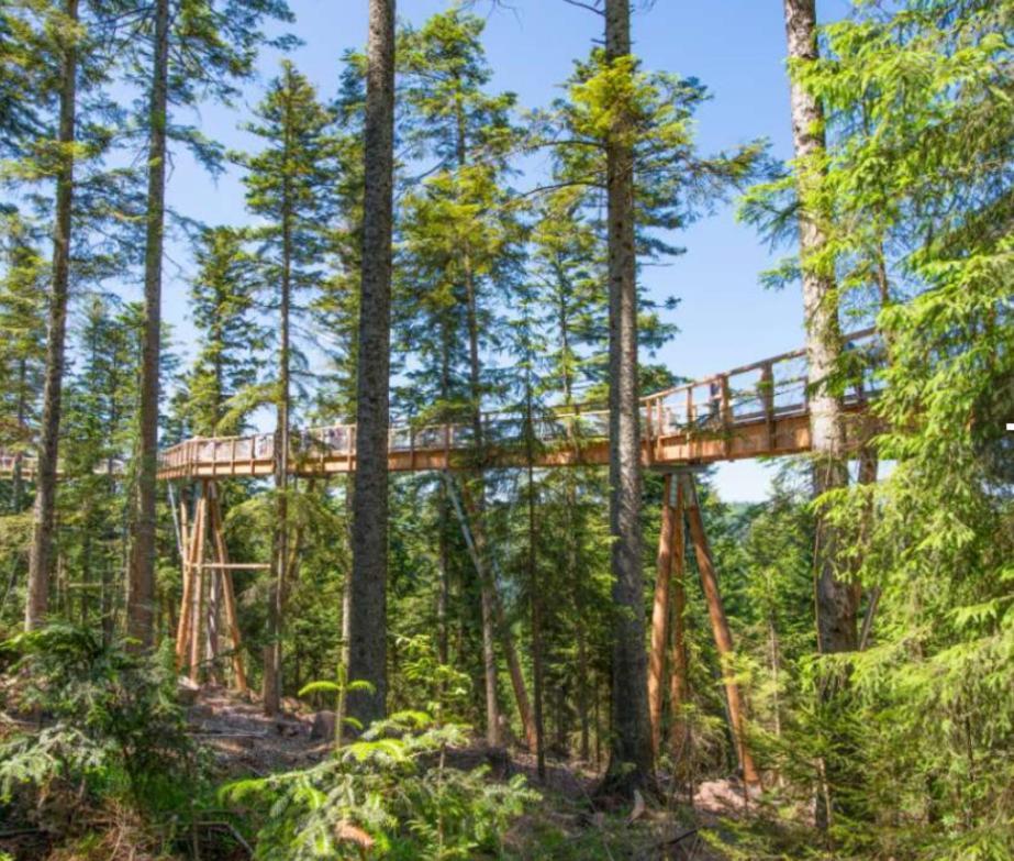 شقة Viva La Wildbad باد ويلباد المظهر الخارجي الصورة