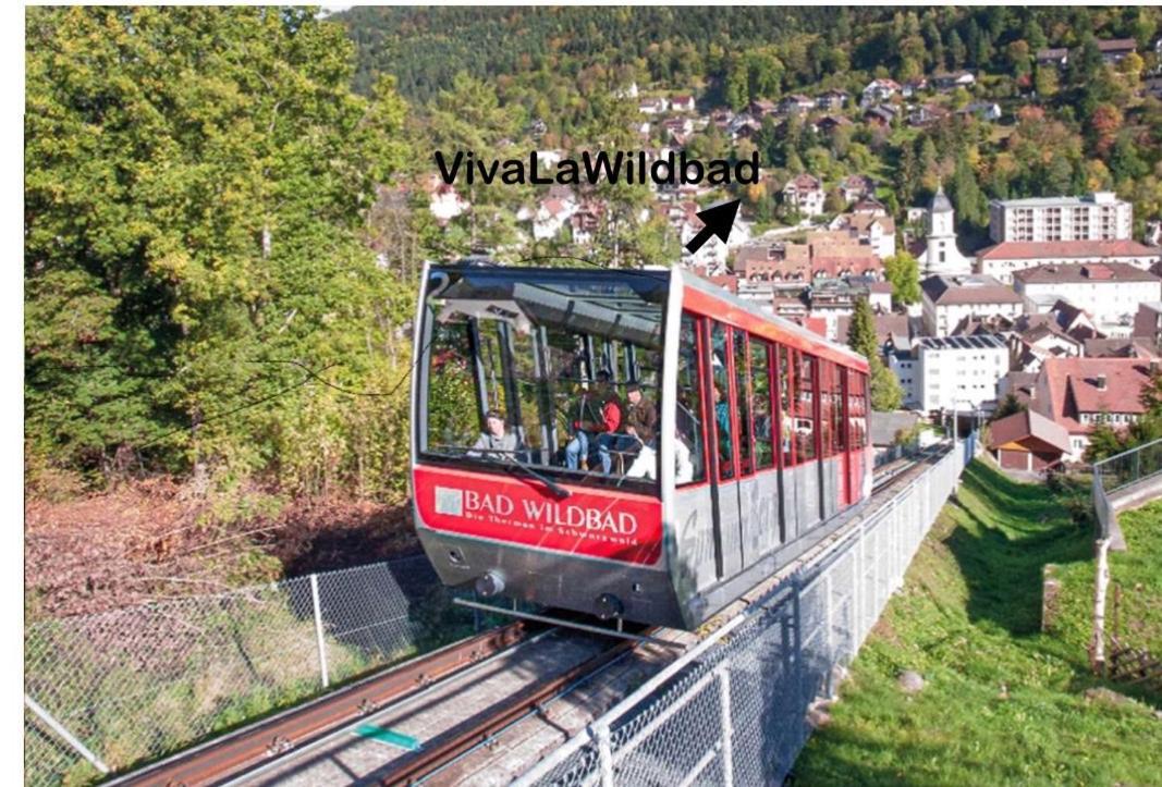 شقة Viva La Wildbad باد ويلباد المظهر الخارجي الصورة